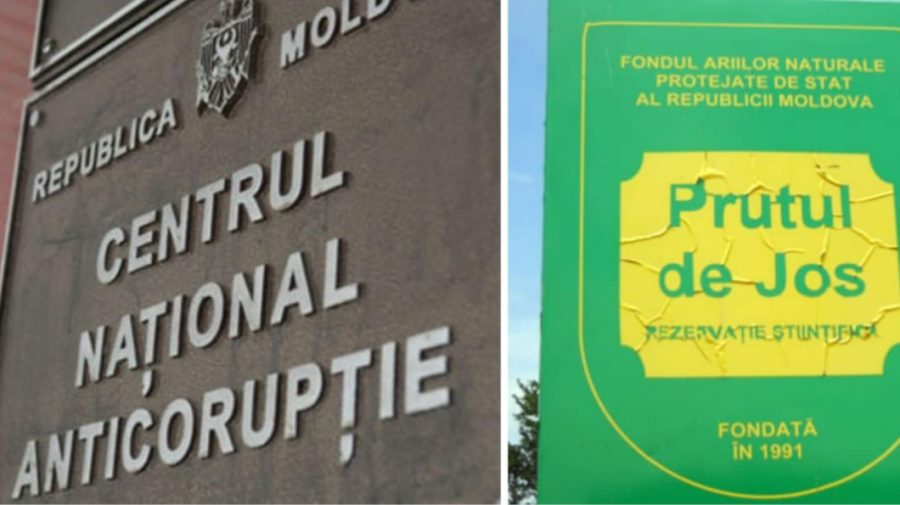 Delapidare de milioane de lei din fonduri europene. CNA efectuează percheziții la ex-responsabili de la Moldsilva
