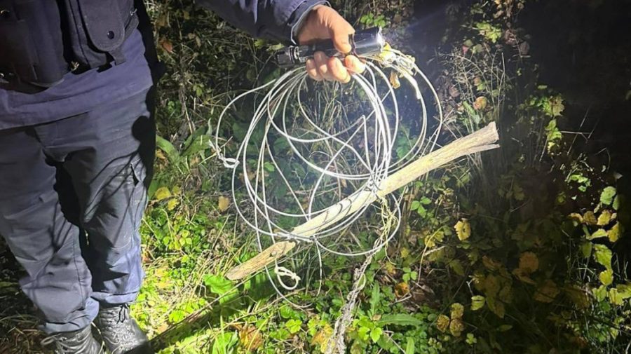Patru capcane ilegale și un mistreț capturat: Polițiștii de frontieră de la Leușeni au prins braconierii
