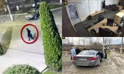 VIDEO Au furat repetat din același oficiu timp de o lună. Suspecții riscă închisoare