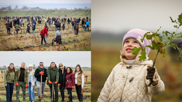 Peste 600 de angajați ai Guvernului au plantat 200 de mii de puieți, în cadrul campaniei „Generația pădurii” 