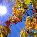 Prognoza meteo pentru 2 septembrie: Vreme caldă și până la +31°C