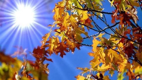 Prognoza meteo pentru 2 septembrie: Vreme caldă și până la +31°C