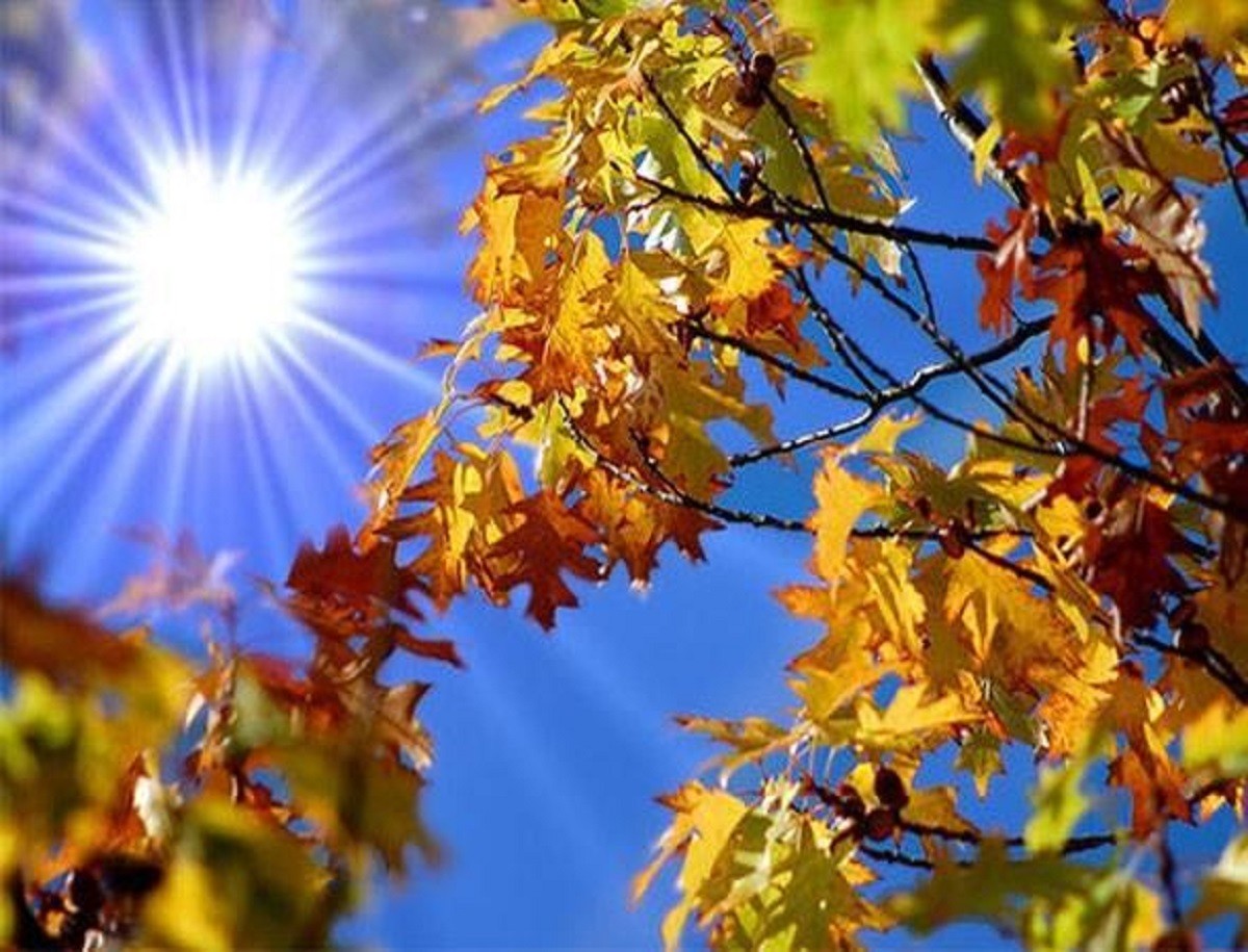 Prognoza meteo pentru 2 septembrie: Vreme caldă și până la +31°C