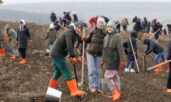 În premieră pentru Moldova, peste 1000 de angajați Orange au plantat o Pădure pentru viitor