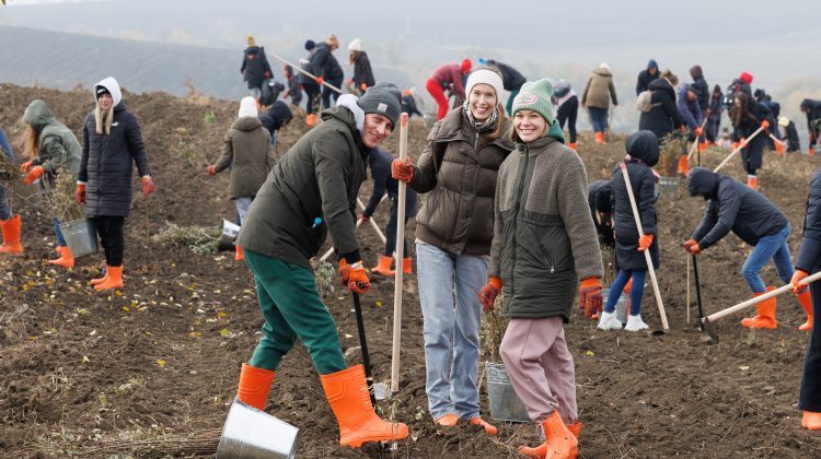 În premieră pentru Moldova, peste 1000 de angajați Orange au plantat o Pădure pentru viitor