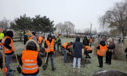 FOTO Continuă acțiunile de plantare a arborilor în capitală