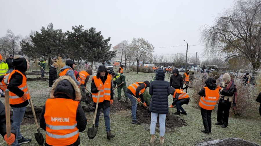 FOTO Continuă acțiunile de plantare a arborilor în capitală