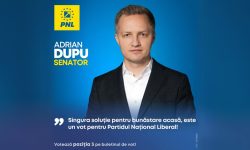 Adrian Dupu invită românii din R. Moldova la alegeri: Singura soluție pentru bunăstarea acasă, este un vot pentru PNL