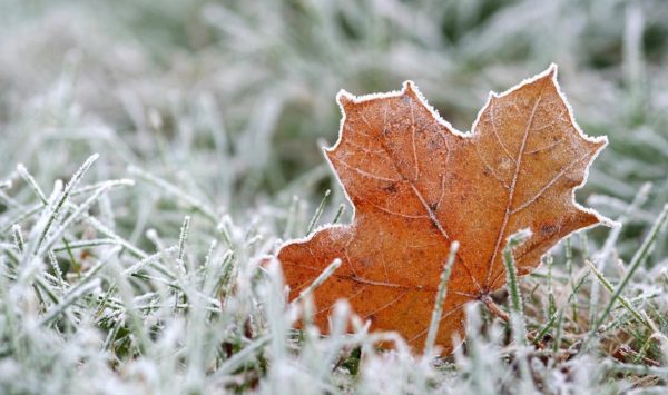 Meteorologii prognozează pentru astăzi, 27 noiembrie cer noros și polei: Câte grade vor fi?