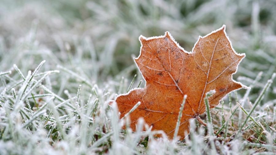 Meteorologii prognozează pentru astăzi, 27 noiembrie, cer noros și polei: Câte grade vor fi?