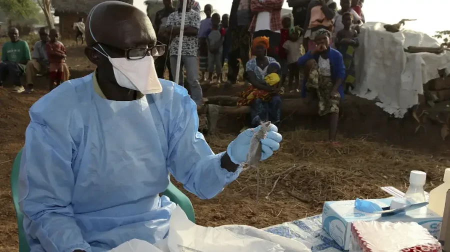 O nouă epidemie se răspândește într-o țară africană: despre febra Lassa și cum se manifestă