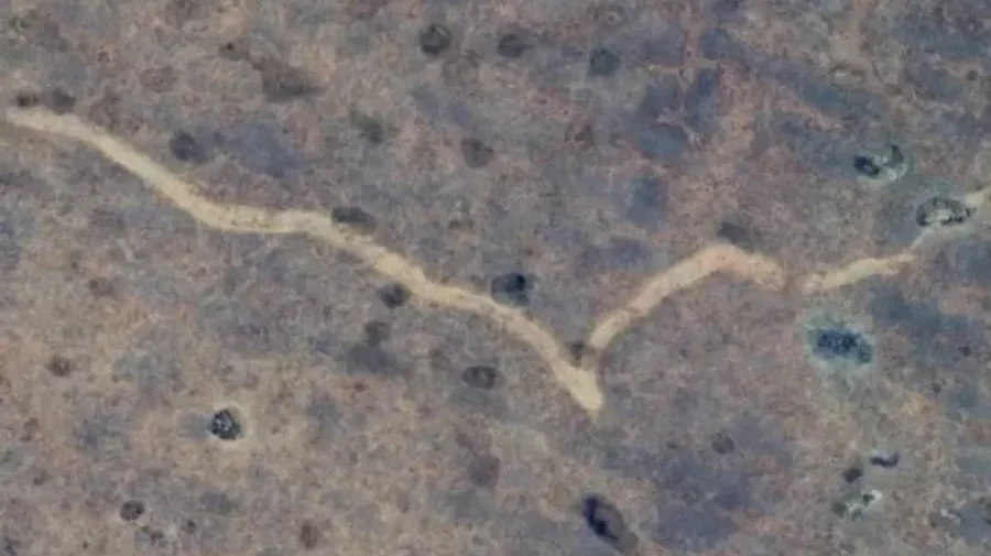 A fost elucidat misterul „cicatricii” vizibile din satelit în sălbăticia australiană