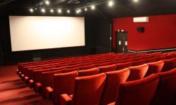 Patru zile de filme gratuite, la Cineplex Loteanu: Cultura și cinematografia japoneză