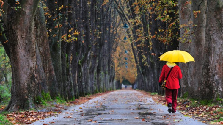 Săptămâna începe cu ploi slabe. Ce temperaturi vor arăta astăzi termometrele din ţară?