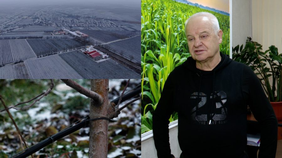 VIDEO Compania Pocrov Export Fruct dovedește succesul inițiativelor europene