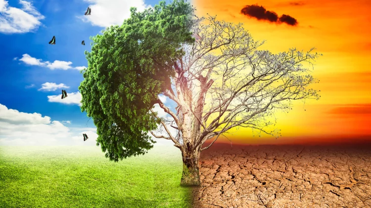Temperaturile globale au depăşit ţinta de 1,5°C în ultimii doi ani, potrivit monitorului UE