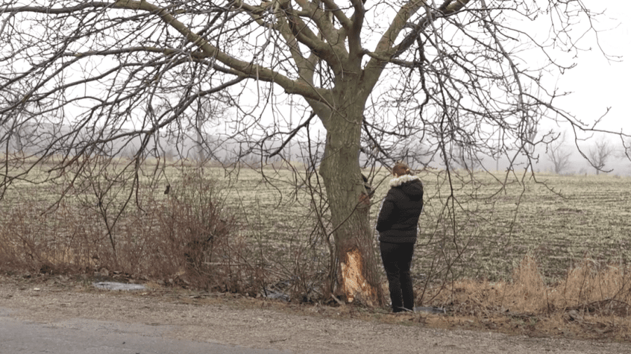 VIDEO Tragedia de la Rîșcani. Soțiile victimelor: Au fost la o zi de naștere. Șoferul nu are permis de conducere