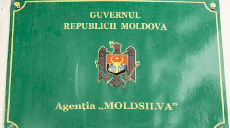 Caz grav de braconaj în Rezervația naturală ”Plaiul Fagului”. Reacția Moldsilva