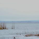 Lacul Beleu se degradează, iar lucrările de restaurare întârzie. Autoritățile cunosc problema
