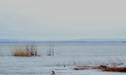 Lacul Beleu se degradează, iar lucrările de restaurare întârzie. Autoritățile cunosc problema