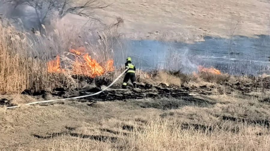 VIDEO Incendiu puternic în zona de frontieră. Pompierii au intervenit la fața locului