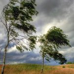 Vântul se intensifică în Moldova. Meteorologii au emis Cod Galben