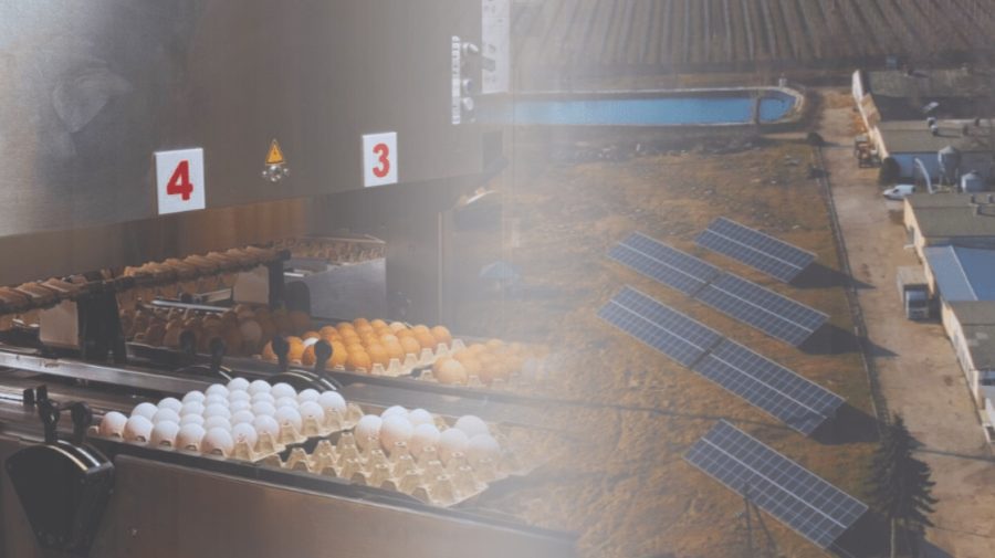 Soarele aduce economii pentru un om de afaceri din Corlăteni. De energie se bucură și găinile