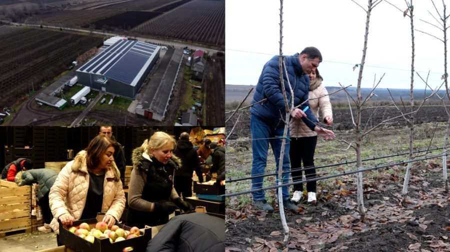Antreprenoarea din nordul Moldovei ce își salvează livezile cu sprijinul Uniunii Europene și al Guvernului R. Moldova