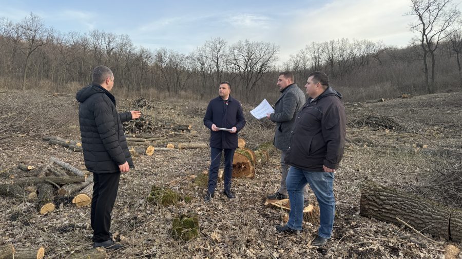 Scandal într-o pădure la Anenii Noi. Costiuc vine cu acuzații grave, iar ministrul Mediului – de urgență în inspecție