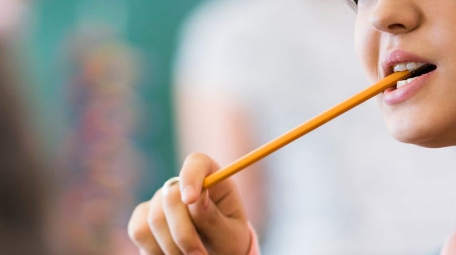 Mestecatul lemnului ar putea îmbunătăți memoria, sugerează un nou studiu