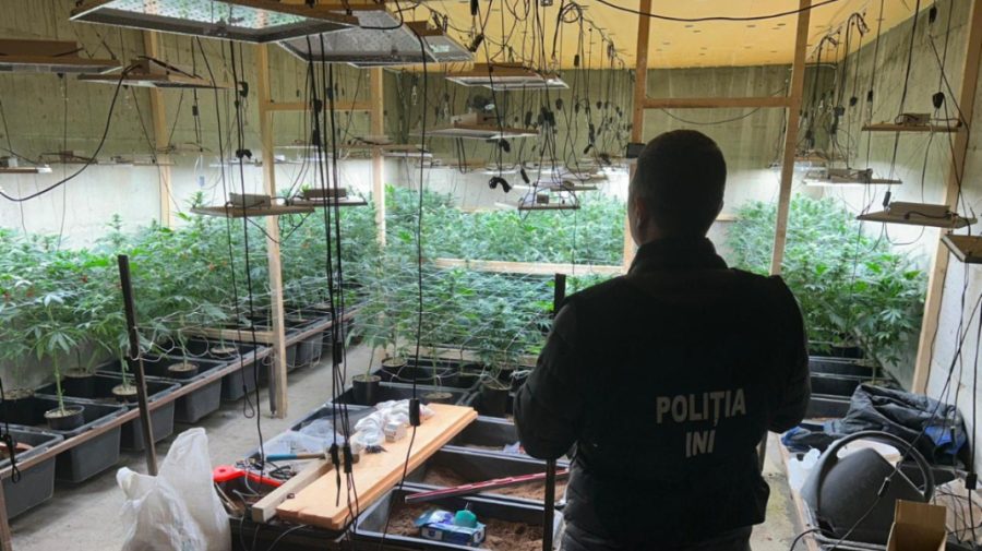 VIDEO Cinci laboratoare de producere a drogurilor, depistate de polițiști. Trei bănuiți au fost încătușați