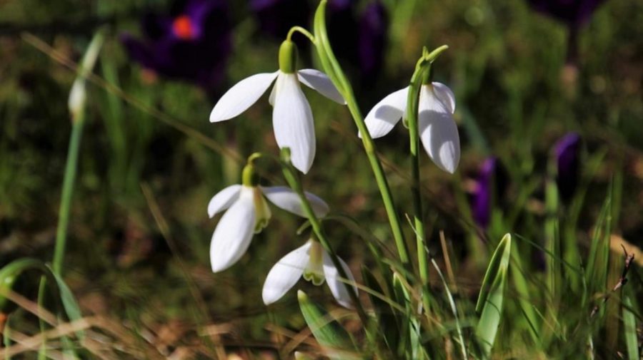 Meteorologii prognozează cer variabil și temperaturi de peste 22 de grade