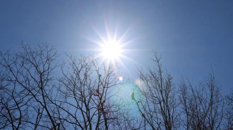 Zi frumoasă de primăvară, cu temperaturi generoase