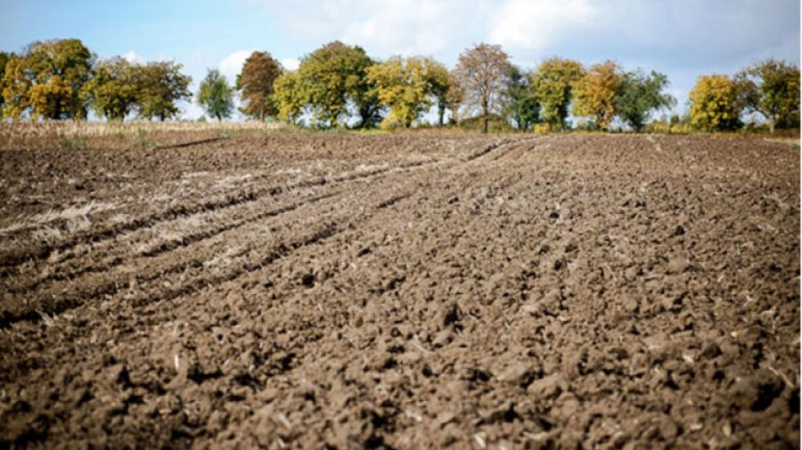 Lipsa umidității în sol amenință agricultura. Experții avertizează asupra unei perioade secetoase prelungite