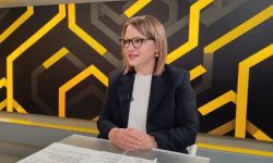 Angela Cutasevici: „În 2025 din cauza violenței în familie peste 17 mii de copii au fost în situații de risc”