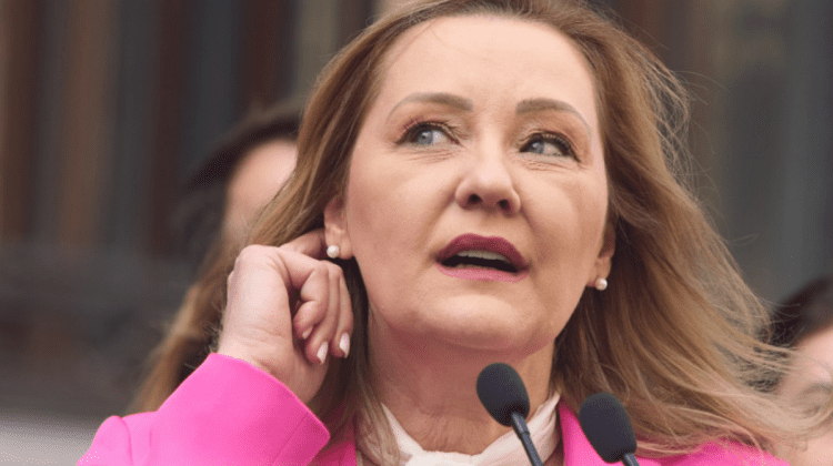 Elena Lasconi demisionează de la conducerea USR, după eșecul de la alegeri