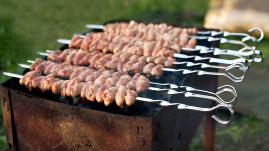 De 1 mai, majoritatea moldovenilor vor ieși la picnicuri și frigărui. IGSU vine cu recomandări