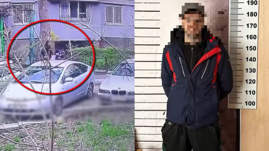 VIDEO Furt în sectorul Botanica al Capitalei. Un tânăr a lăsat o bătrână fără aproape 24 de mii de lei