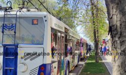 Deranjament la rețeaua de contact de pe strada Miorița. Circulația mai multor troleibuze, perturbată