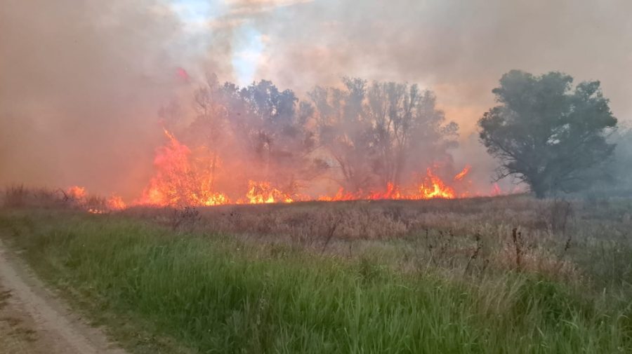 7 zile de foc în Moldova! A fost anunțat pericol excepțional de incendiu în mai multe raioane ale țării