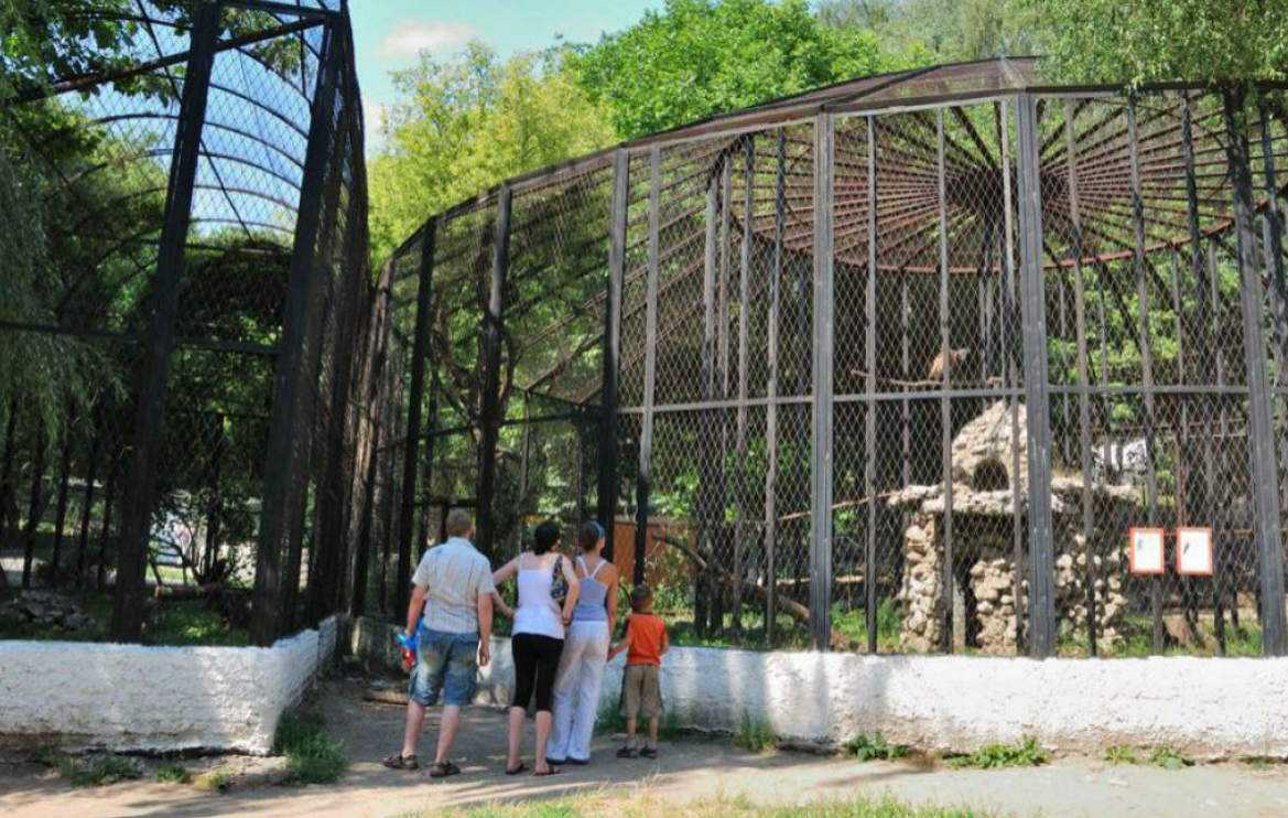 VIDEO Grădina Zoologică din Chișinău anunță un nou program de activitate