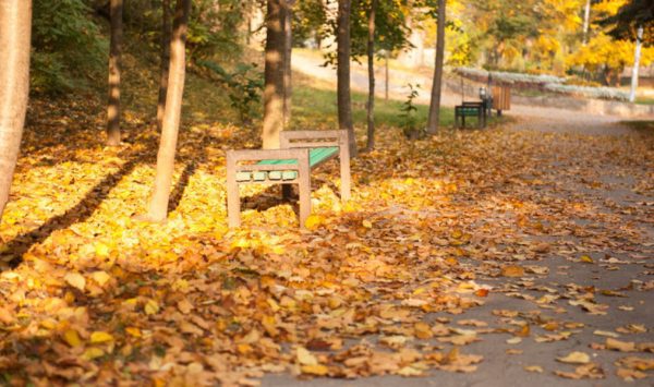 Prognoza meteo pentru 16 septembrie: Cer variabil și până la +25°C