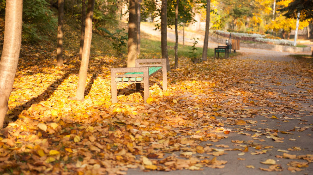 Prognoza meteo pentru 16 septembrie: Cer variabil și până la +25°C