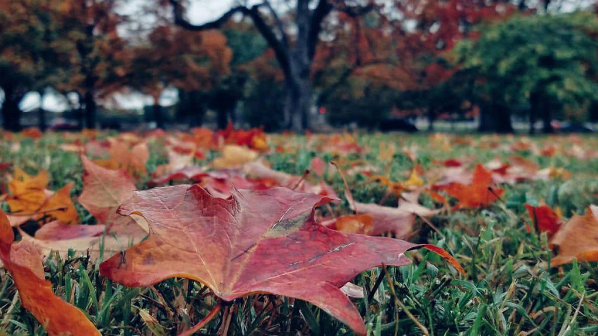 Prognoza meteo pentru 17 septembrie: Cer senin și până la 26 de grade Celsius