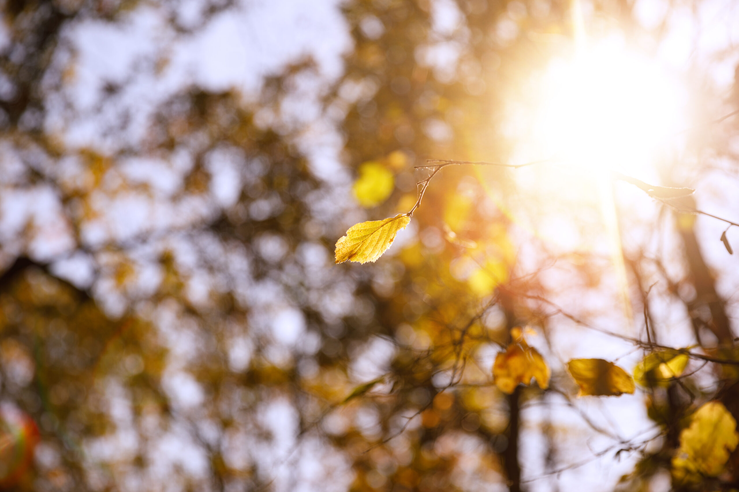 Prognoza meteo pentru 3 septembrie: Izolat vor cădea ploi slabe și se așteaptă până la +30°C