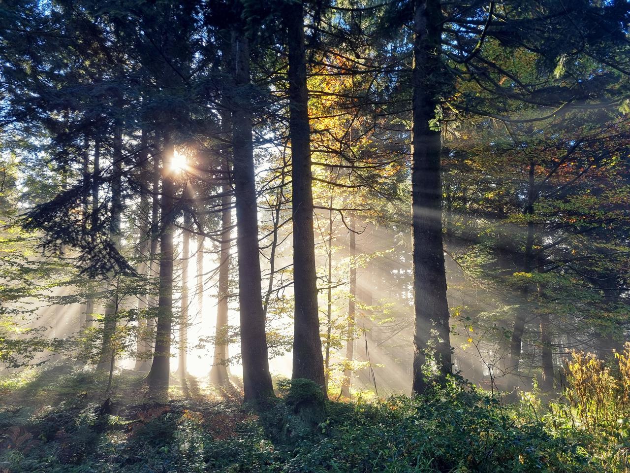 Prognoza meteo pentru 8 septembrie: Cer variabil și până la +29°C