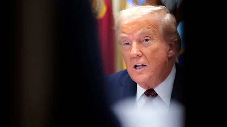 Trump taxează importurile: 10% pentru lemn, 25% pentru mobilă
