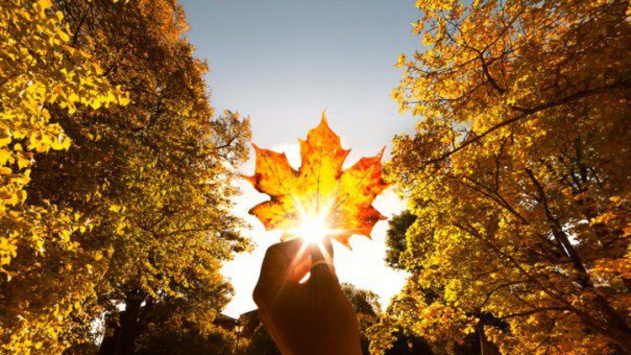 Prognoza meteo pentru 7 septembrie: Cer variabil și până la +26°C