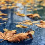 Ploi și caniculă în aceeași zi: Meteorologii anunță cum va fi vremea sâmbătă
