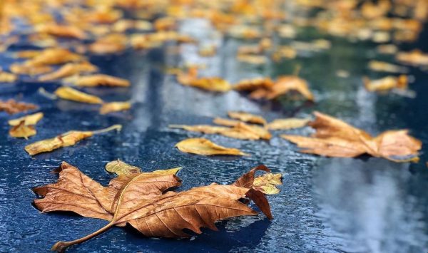 Ploi și caniculă în aceeași zi: Meteorologii anunță cum va fi vremea sâmbătă
